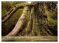 Produktbild: M&auml;rchenhafter Reinhardswald und Urwald Sababurg (Wandkalender 2027 DIN A4 quer), CALVENDO Monatskalender