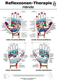 Bild vom Artikel Reflexzonen-Therapie Mini-Poster - Hände DIN A4 vom Autor 