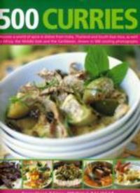 Produktbild: 500 Curries