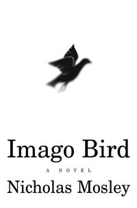 Produktbild: Imago Bird