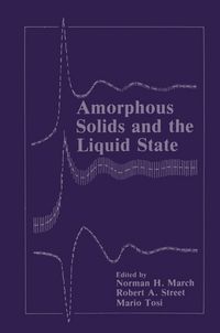 Produktbild: Amorphous Solids and the Liquid State