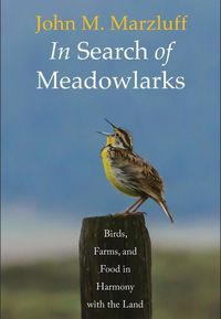 Produktbild: In Search of Meadowlarks
