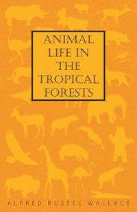 Produktbild: Animal Life in the Tropical Forests