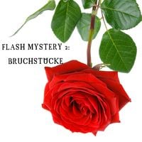 Produktbild: Flash Mystery 2: Bruchst&uuml;cke