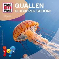 Produktbild: Quallen - glibberig sch&ouml;n!