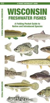 Produktbild: Wisconsin Freshwater Fishes