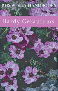 Produktbild: Hardy Geraniums