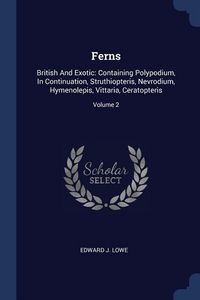 Produktbild: Ferns