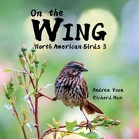 Produktbild: On the Wing - North American Birds 3