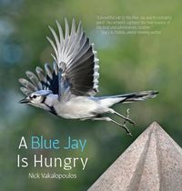 Produktbild: A Blue Jay is Hungry