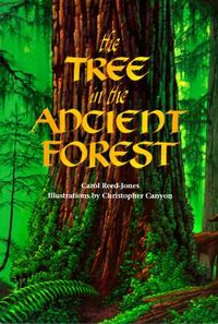 Produktbild: The Tree in the Ancient Forest