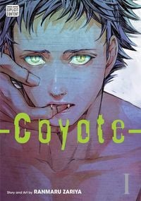Produktbild: Coyote, Vol. 1