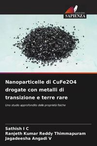 Produktbild: Nanoparticelle di CuFe2O4 drogate con metalli di transizione e terre rare