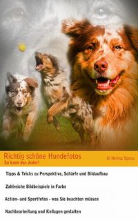 Produktbild: Richtig sch&ouml;ne Hundefotos