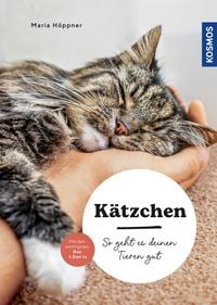 Produktbild: K&auml;tzchen