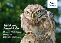 Produktbild: Steinkauz, Amsel & Co.