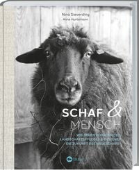 Produktbild: Schaf und Mensch