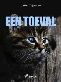 Produktbild: Een toeval