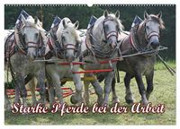 Produktbild: Starke Pferde bei der Arbeit (Wandkalender 2026 DIN A2 quer), CALVENDO Monatskalender