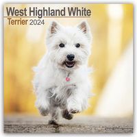 Bild vom Artikel West Highland White Terrier - Westies 2024 - 16-Monatskalender vom Autor Avonside Publishing Ltd