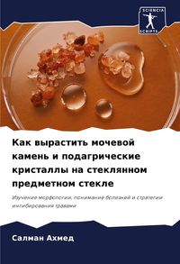 Produktbild: Kak wyrastit' mochewoj kamen' i podagricheskie kristally na steklqnnom predmetnom stekle