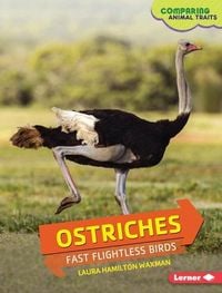 Produktbild: Ostriches