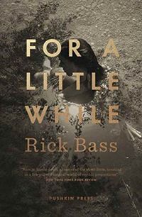 Produktbild: Bass, R: For a Little While
