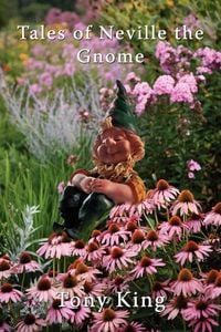 Produktbild: Tales of Neville the Gnome