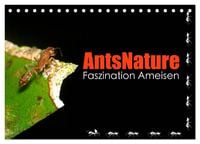 Produktbild: AntsNature - Faszination Ameisen (Tischkalender 2027 DIN A5 quer), CALVENDO Monatskalender