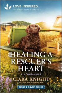 Produktbild: Healing a Rescuer's Heart