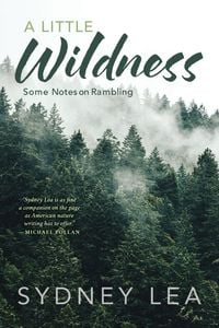 Produktbild: Little Wildness