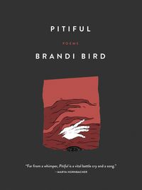 Produktbild: Pitiful
