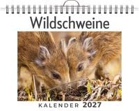 Produktbild: Wildschweine