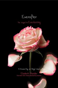Produktbild: Everafter