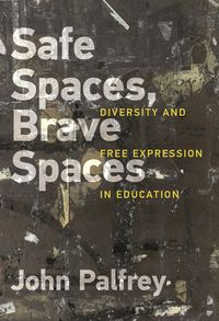 Produktbild: Safe Spaces, Brave Spaces