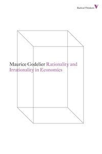 Produktbild: Rationality and Irrationality in Economics