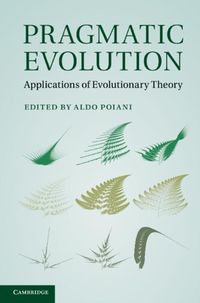 Produktbild: Pragmatic Evolution