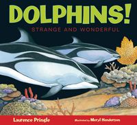 Produktbild: Dolphins!
