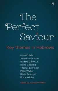 Produktbild: The Perfect Saviour