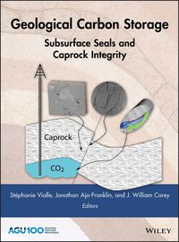 Produktbild: Geological Carbon Storage