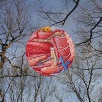 Produktbild: Glean