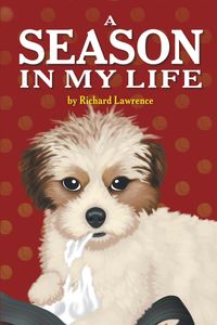 Produktbild: A Season in My Life