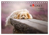 Produktbild: Rocket der Havaneser (Tischkalender 2026 DIN A5 quer), CALVENDO Monatskalender