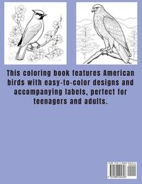 Produktbild: Colorful Feathers