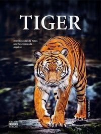 Produktbild: Tiger
