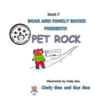 Produktbild: Pet Rock