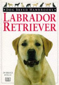 Produktbild: Labrador Retriever