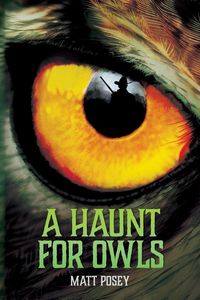 Produktbild: A Haunt for Owls