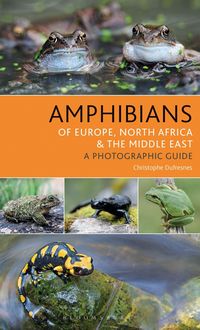 Produktbild: Amphibians of Europe, North Africa and the Middle East