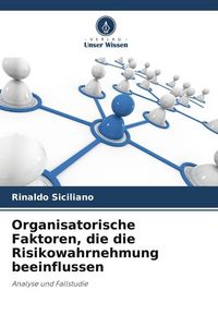 Produktbild: Organisatorische Faktoren, die die Risikowahrnehmung beeinflussen
